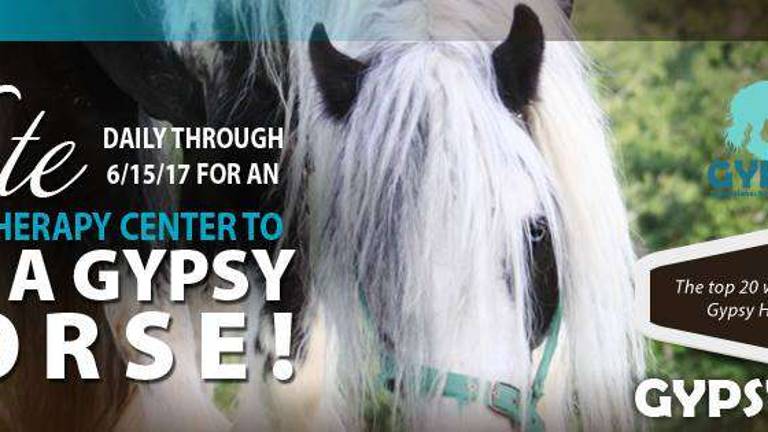 Help GAIT get a new horse: Just vote Help GAIT get a new horse: Just vote