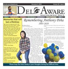 The current edition of The Del.Aware, available at dvsd.org.
