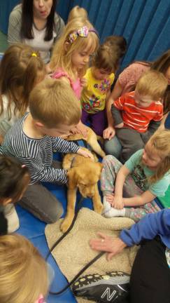 Benni, service dog in training, dazzles preschoolers Benni began learning to remain on his pad when in the company of others (Photo by Frances Ruth Harris)