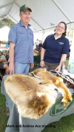 Food, music, and purring alpacas Mark and Andrea Ace