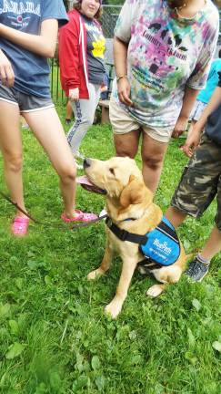 Keeping up with Benni Benni soaks up the love at Country Ark Farm (Photo by Frances Ruth Harris)