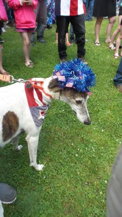 Milford honors those who sacrificed all Miss Emma Dilemma was among the many pets who joined the commemoration with their "peeps" (Photo by Frances Ruth Harris)