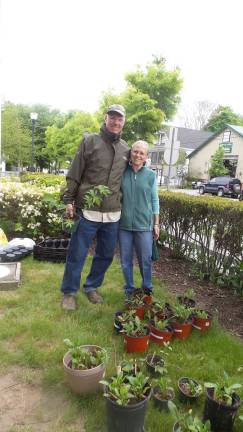 Gardens grow with help from annual plant sale Michael and Bernadette Kress with tansy and meadow sweet medicinal herb (Photo by Frances Ruth Harris)
