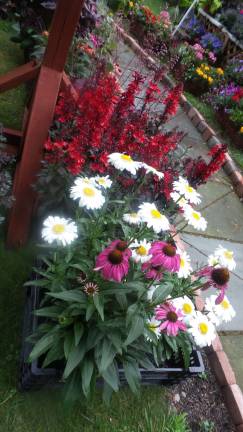 Secret gardens, revealed (Photo by Frances Ruth Harris)