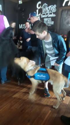 Cooks and tasters agree: Everybody wins Blue Path’s service dog in training came to the mac n cheese/chili tasting at the Dimmick Inn. Once inside, the children loved Benni all to pieces. (Photo by Frances Ruth Harris)