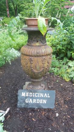 Secret gardens, revealed The Medicinal Garden at Remembrance Place features four species specific systems: the immune system, the digestive system, the nervous system and the circulatory/respiratory system (Photo by Frances Ruth Harris)