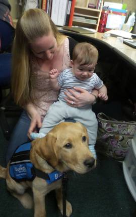 Benni, service dog in training, dazzles preschoolers Gabriel Mattarazzo, 7 months, cooed when Benni joined him and Christine Butter (Photo by Frances Ruth Harris)