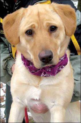 Port Jervis friends in need of homes Port Jervis friends in need of homes