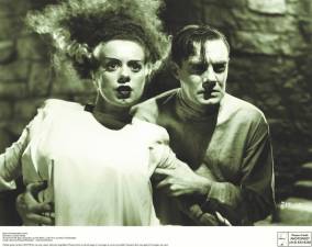 Bride of Frankenstein, with Elsa Lanchester as the Bride, Colin Clive as Henry Frankenstein, was one of DiLeo’s book inspirations.