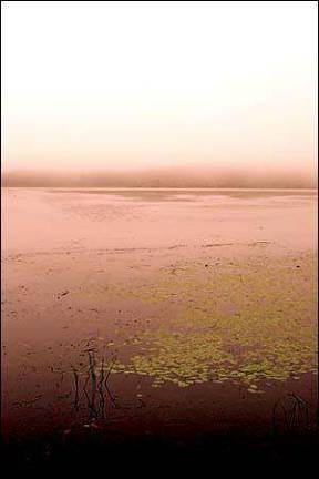 Shohola photographer selected for Manhattan exhibition Shohola photographer selected for Manhattan exhibition