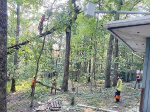 “There is a different skill matrix for each person,” says Daniel Pirl of Blue Ridge Tree Service (Photo by Marilyn Rosenthal)