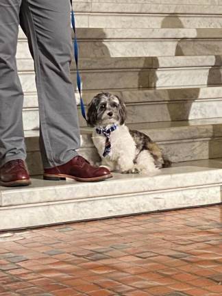 Dogs attended the rally too.