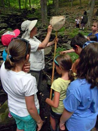 4H needs adult leaders to help expand program 4-H programs depend on the involvement of adult volunteers to serve as club leaders. (Photo provided)