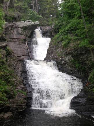 Raymondskill Falls to get new viewing platforms Raymondskill Falls (Photo provided)