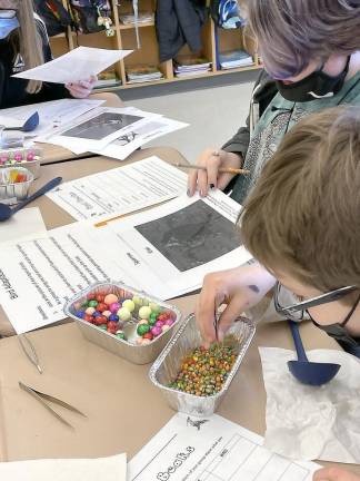 DVES students study animal adaptations Allyson Masone, Riley Fernald (Photo by Peggy Snure)
