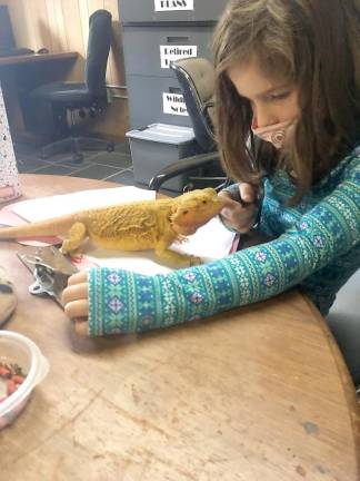 Ellie Aukeman learns about reptiles for her nature journal (Photo provided)