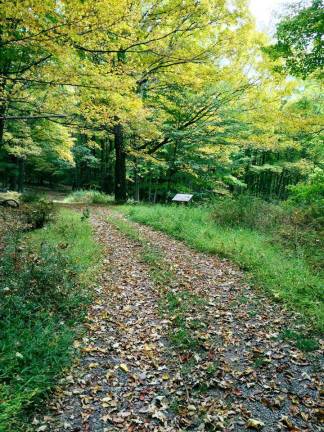 Get back into the wild with a hike at Lacawac Sanctuary Lacawac Sanctuary (Facebook photo)