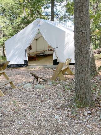 Forestry camp exhibit