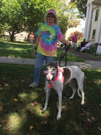 Miss Emma, a retired greyhound rescue, and her owner, Doris Bouckenooghe, of Milford enjoy the bears.