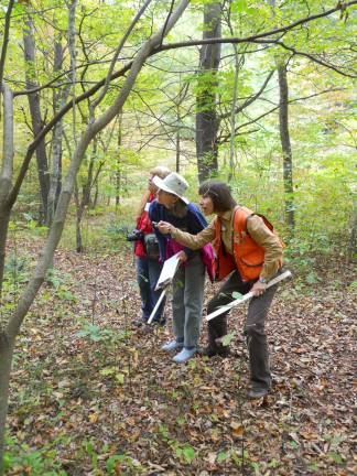 The Women and Their Woods educational retreat offers opportunities for hands-on learning, networking, and skill sharing in a friendly, peer-learning environment (Photo provided)