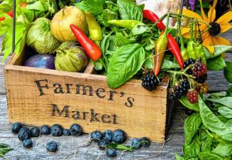 Milford Farmers Market opening Sunday