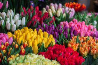 A variety of spring flowers will be available.