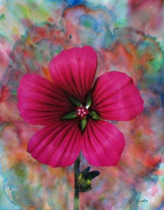 Artists celebrate local plants in 'Spring Fling' exhibit "Magenta Clematis" by Debbie Gioello