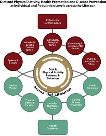 Nutrition panel tells all From the Scientific Report of the 2015 Dietary Guidelines Advisory Committee: http://1.usa.gov/1Ac1gOZ