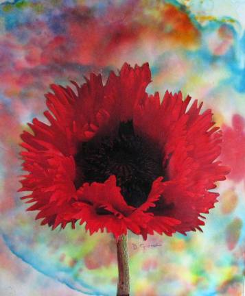 Artists celebrate local plants in 'Spring Fling' exhibit Debbie Gioello's "Poppy"