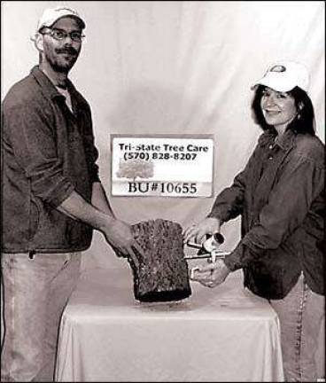 New care offered for trees New care offered for trees