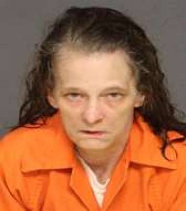Arrests made in fentanyl ring tied to deaths of three young adults Diane Phillips, 55, of Lackawaxen was charged with: delivery of a controlled substance, 1 count; conspiracy to deliver controlled substance, 1 count; and criminal use of a communication facility, 1 count. Bail was wet at $15,000. On Jan. 30 she waived a preliminary hearing before Magisterial District Judge Alan Cooper (Photo provided)