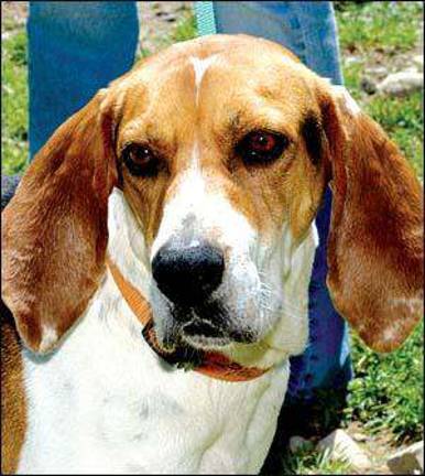 Friend needs a home Friend needs a home