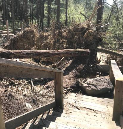 Childs Park storm damage from 2018.