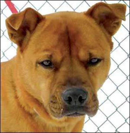 Friends in need of homes Friends in need of homes