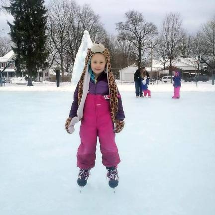 The beautiful Ann Street Park rink is open for free skating all winter, as long as the weather cooperates.