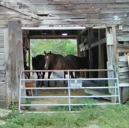 The Rymans' horse barn before the fire