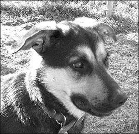 Friends around here in need of homes Friends around here in need of homes