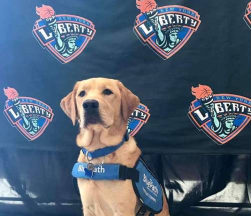 Keeping up with Benni Benni at Madison Square Garden (Photo provided)
