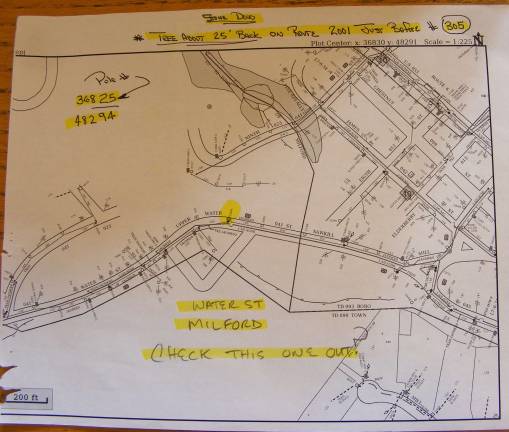 Perilous pine like a 'drunk driver' is taken down The perilous pine is highlighted in yellow on an O&R contractor's work map, with the words: "Check this one out!"