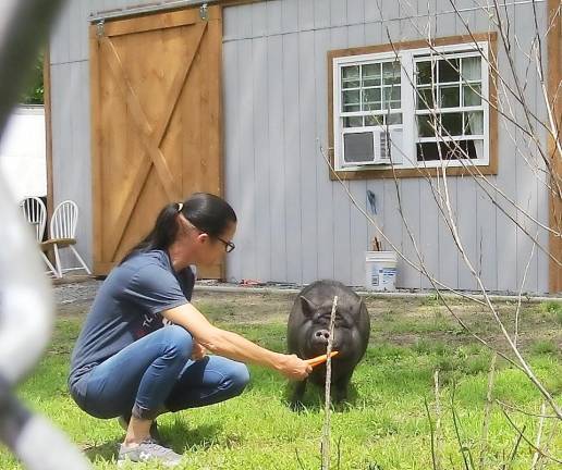 Christine Cahill with Sally the pig.