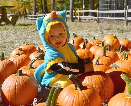 Pumpkins in the Park will follow the Scouts' 5K at Rohman Park