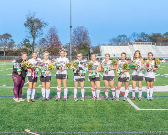 Delaware Valley High School field hockey