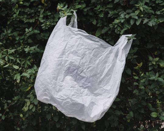New Jersey Senate agrees to ban single-use bags New Jersey Senate agrees to ban single-use bags