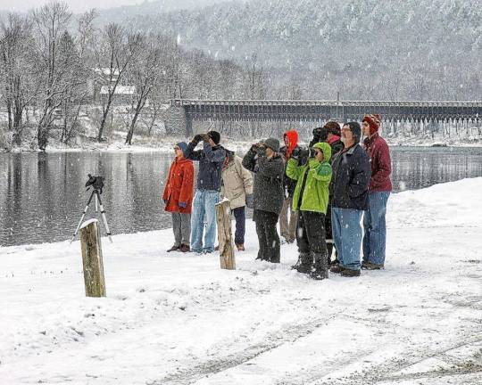 Eagle watchers along the Delaware at the Roebling Bridge