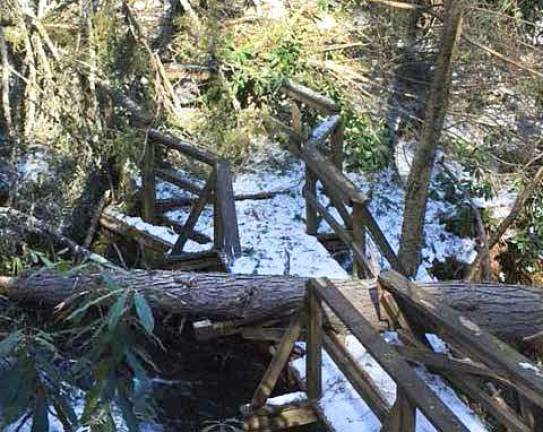 Storm damage on the Dingmans Falls trail (National Park Service photo)