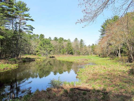 Aquifer/wetlands