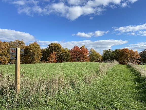Upcoming fall community programs, workshops The trail at the Van Scott nature Reserve. Photo provided