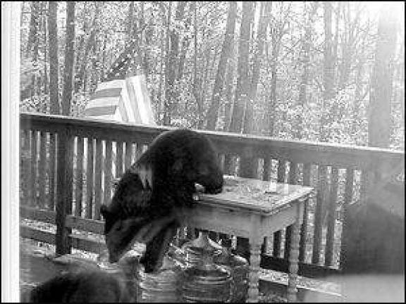 Is that knocking an annoying neighbor or something wilder? Is that knocking an annoying neighbor or something wilder?