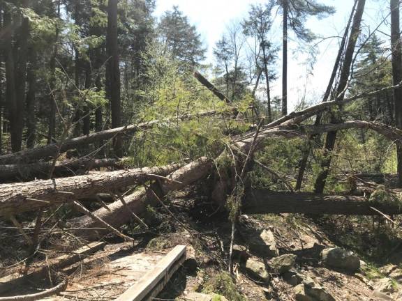 Childs Park storm damage from 2018.