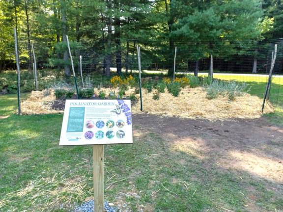 The pollinator garden at Dingman Township Park.